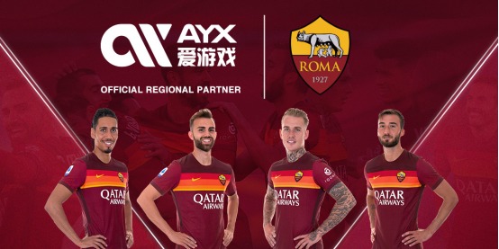 政府内部的